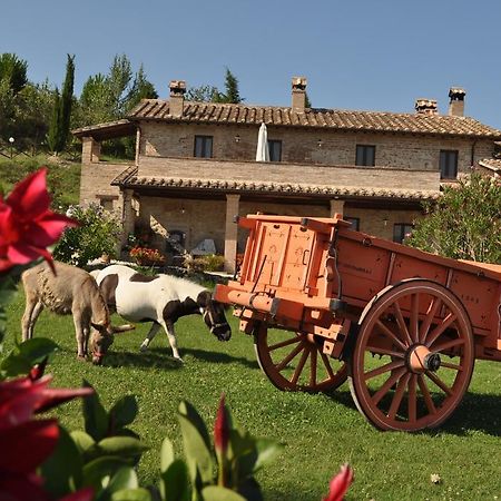 Farm Stay Il Carro Del Colle Collevalenza Kültér fotó