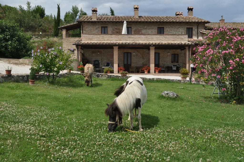Farm Stay Il Carro Del Colle Collevalenza Kültér fotó