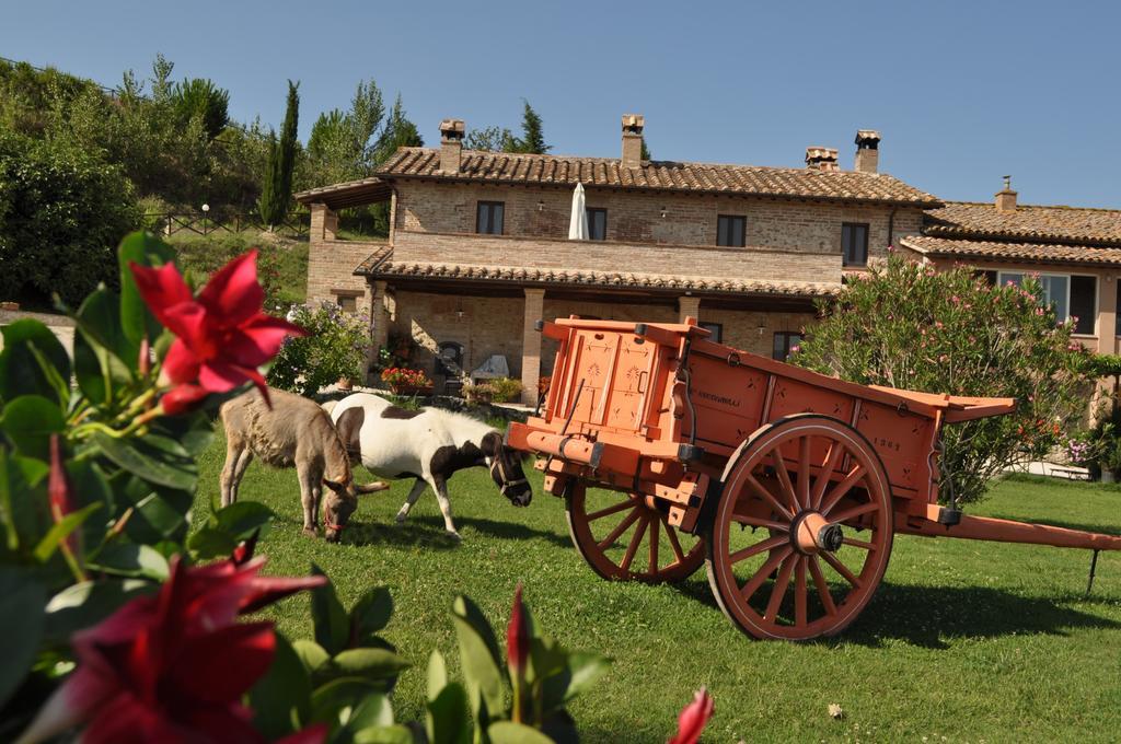 Farm Stay Il Carro Del Colle Collevalenza Kültér fotó