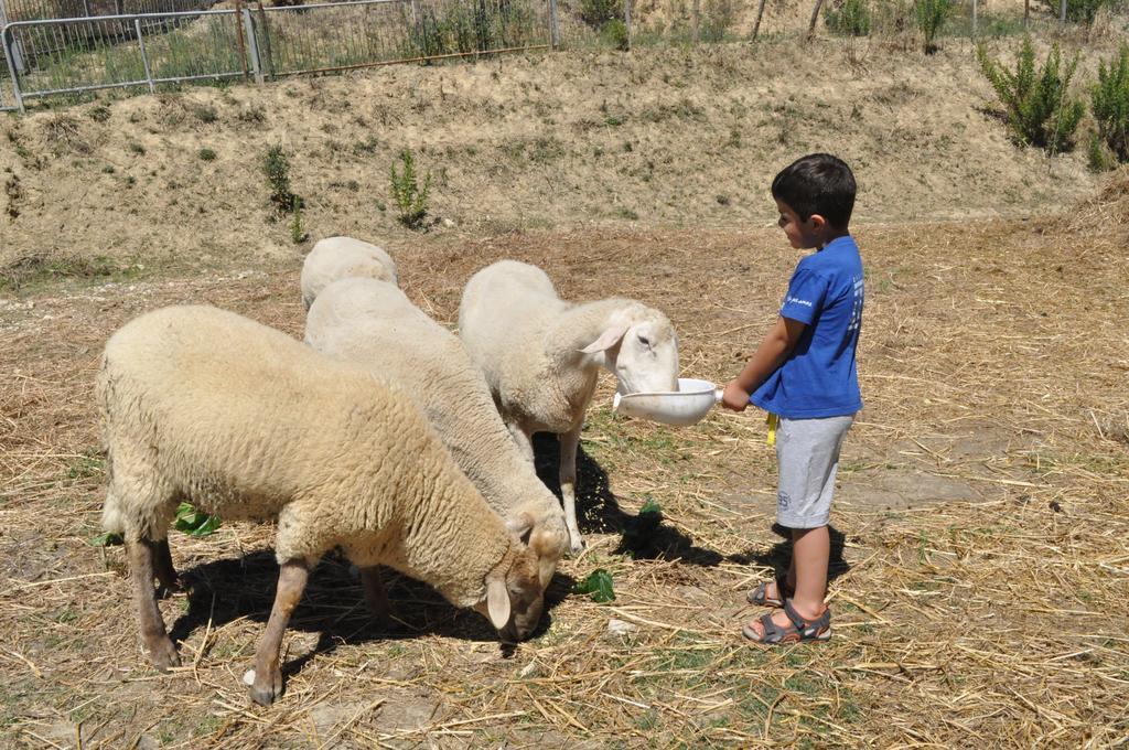 Farm Stay Il Carro Del Colle Collevalenza Kültér fotó