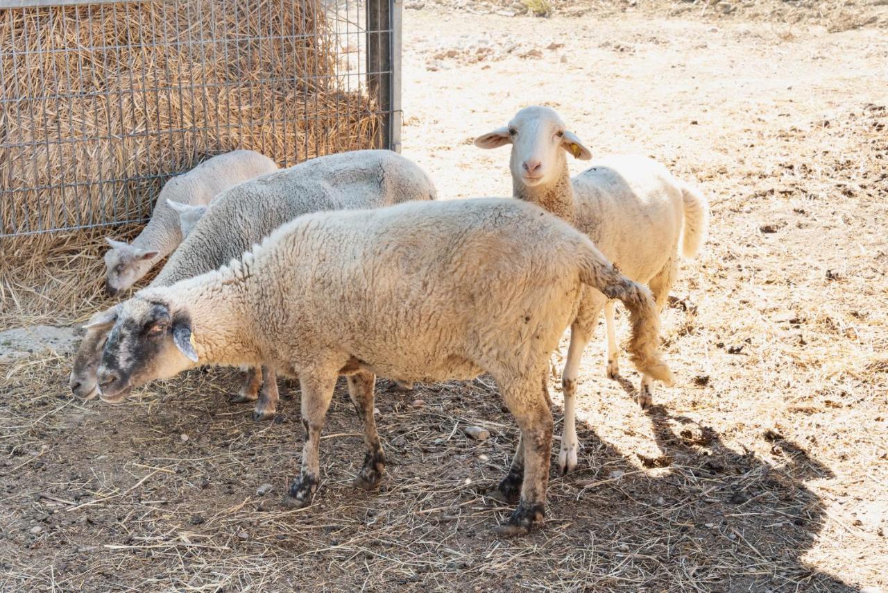 Farm Stay Il Carro Del Colle Collevalenza Kültér fotó